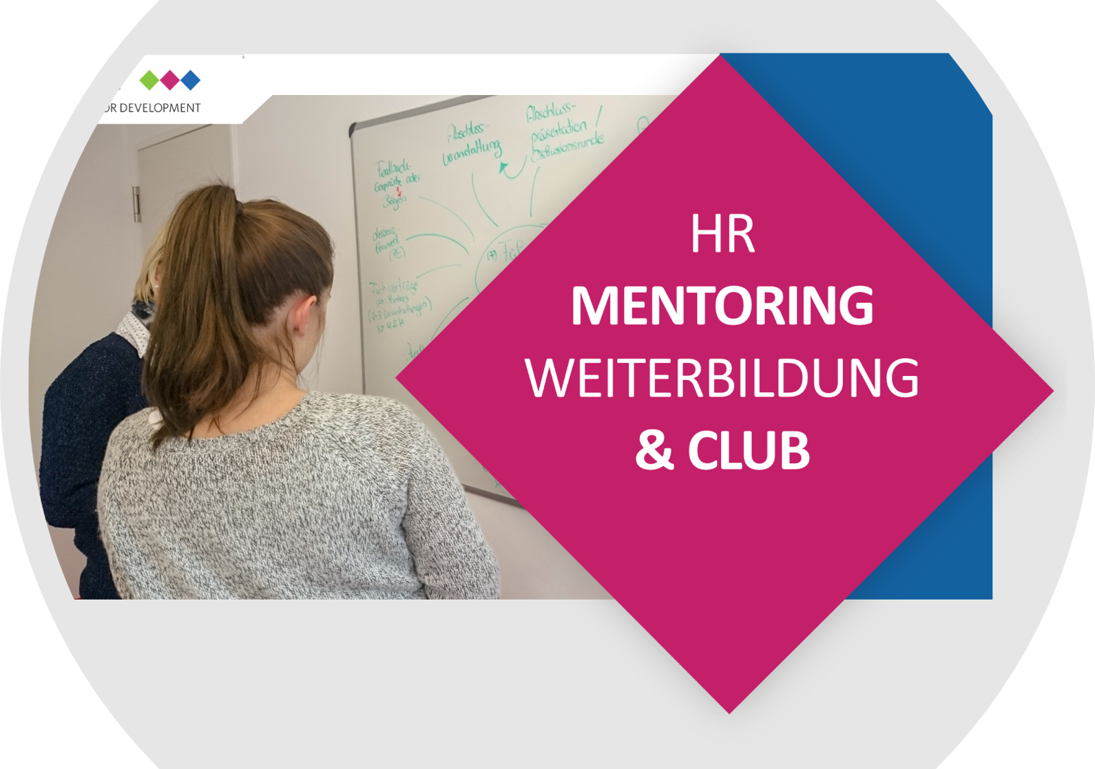 HR Mentoring Verantwortliche Weiterbildung (+ e-Learning & Club), Frankfurt am Main, Hessen, Germany