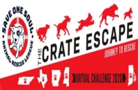 SOSARL Crate Escape: Journey to Rescue Virtual Challenge