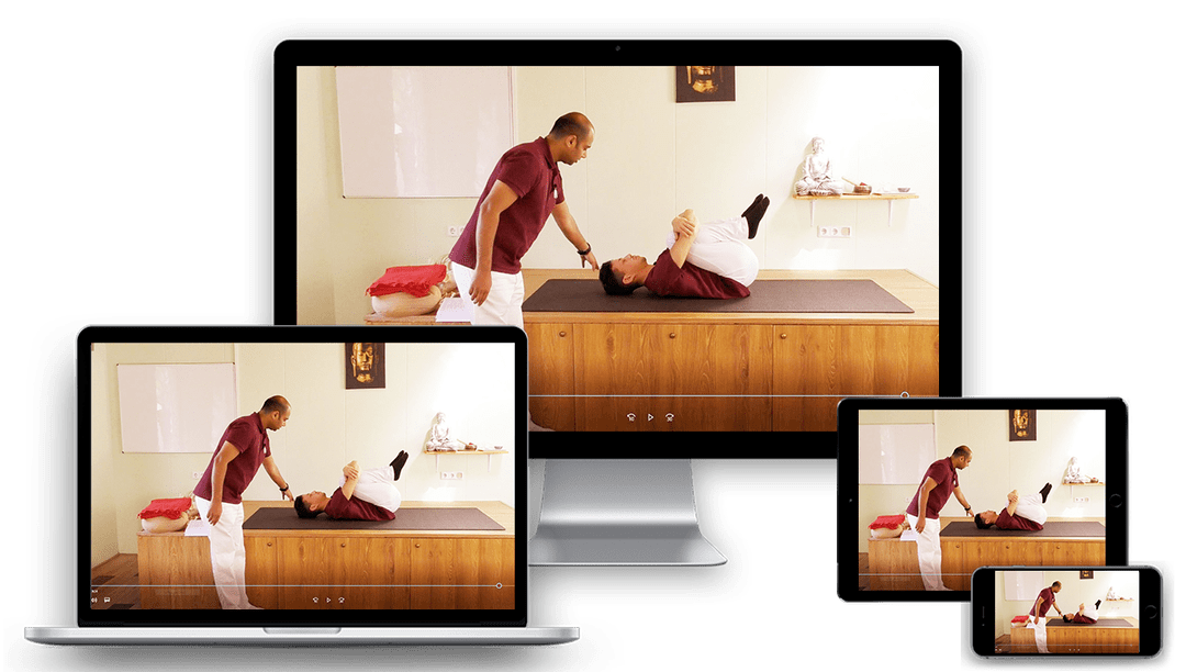 Online Yin Yogalehrer Ausbildung, Wikon, Germany