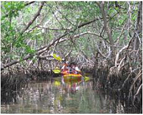 Weedon Island Preserve Kayak Tours, Saint Petersburg, Florida, United States
