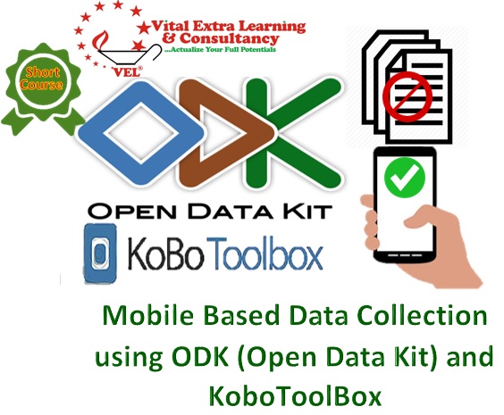 ONLINE - Data Collection and Management using Open Data Kit (ODK), Nairobi, Kenya