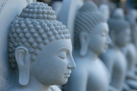 Morning Meditation on Every Monday