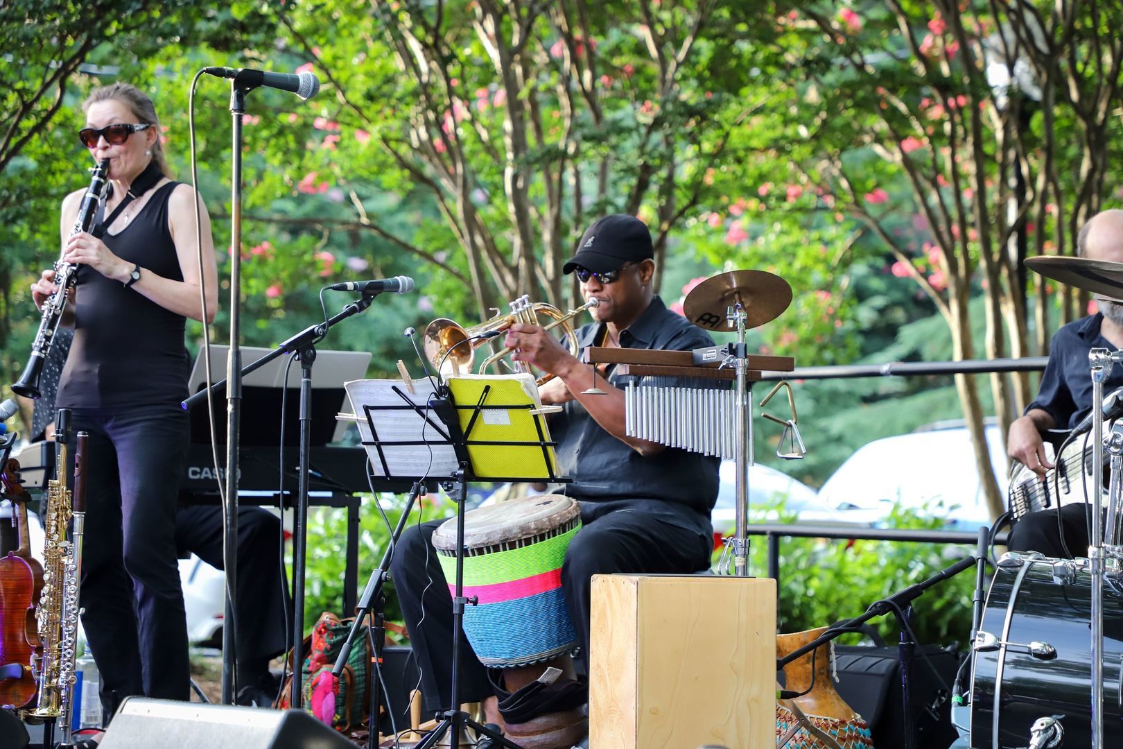 Jazz in the Alley, Norcross, Georgia, United States