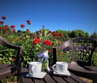 Experience Summer Mornings at Hurst Flower Meadow - U-pick Flower Garden and Outdoor Cafe, Kalispell
