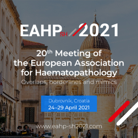 20th Meeting of the European Association for Haematopathology, Dubrovnik, Dubrovacko-Neretvanska, Croatia