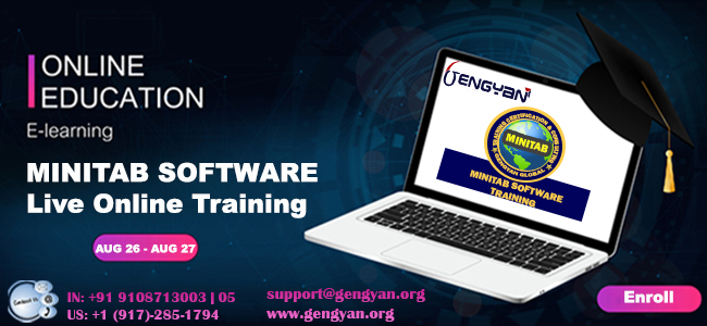 Minitab Lean Six Sigma Software Online Training, Pune, Maharashtra, India