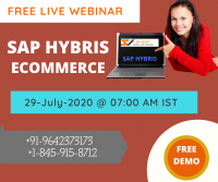 Free Live  Demo On SAP Hybris From SV Soft Solutions