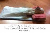 Donation-Based Online Community Yoga Class