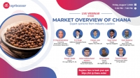 Market Overview of Chana