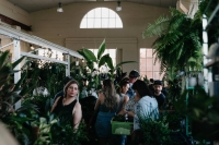 Canberra- Treasure hunt in the Jungle - Huge Indoor plant sale