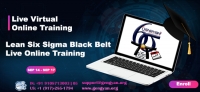 Six Sigma Black Belt Certification Online