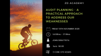Audit planning: a practical approach to address our weaknesses