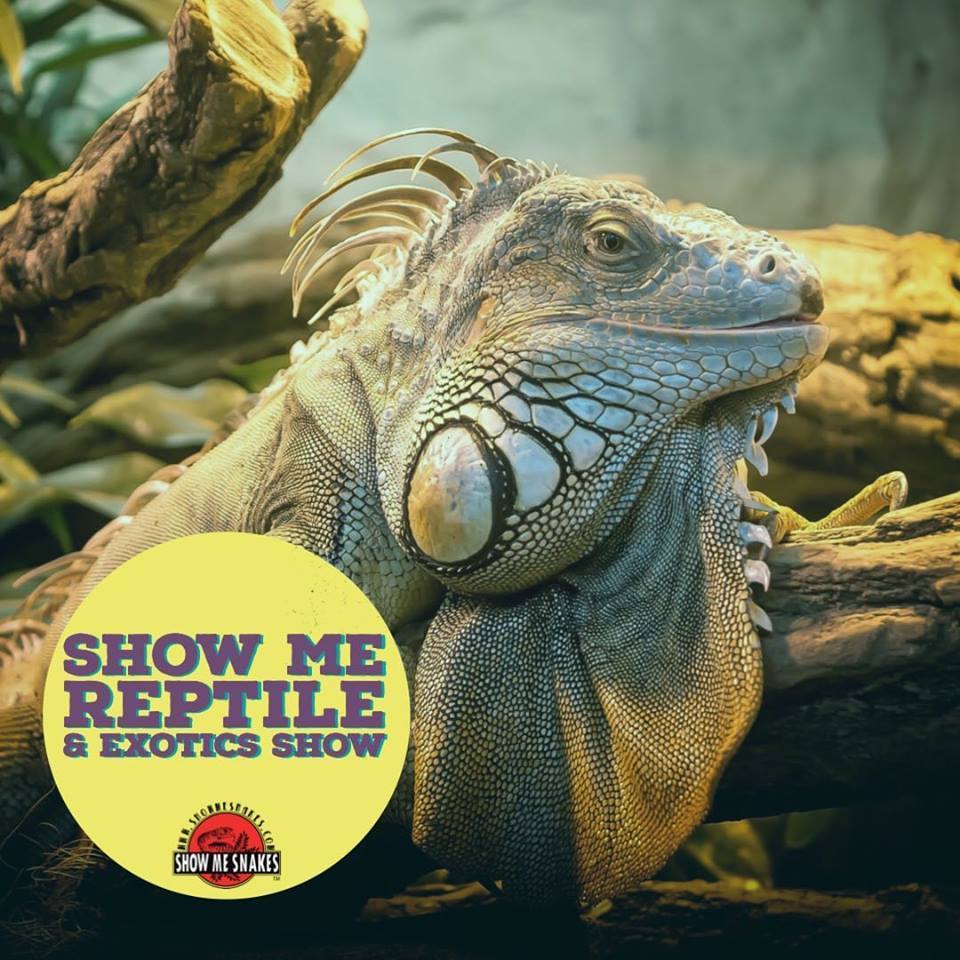 Show Me Reptile and Exotics Show, Davenport, Iowa, United States