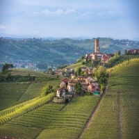Introduction to the Wines of Piedmont, Italy: It's not all Barolo and Barbaresco