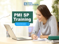 PMI SP Training Course