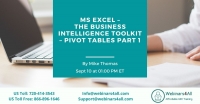 Excel – The Business Intelligence Toolkit – Pivot Tables Part 1