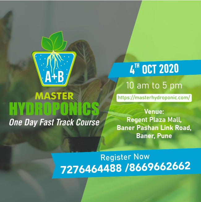 Hydroponic One Day Fast track Course., Pune, Maharashtra, India