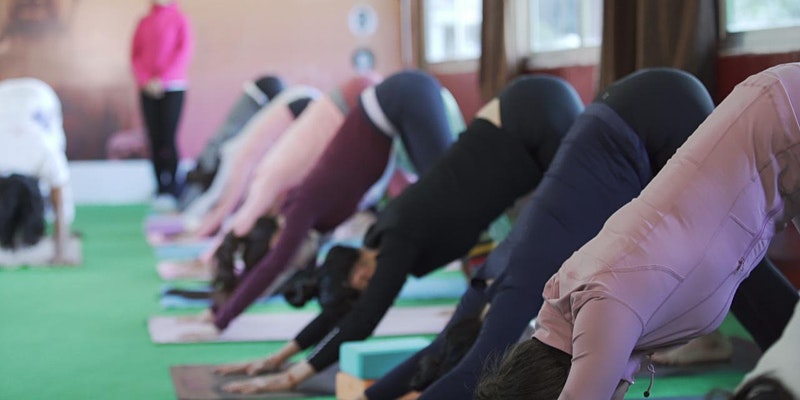 200 Hour Yoga Teacher Training in India, Haridwar, Uttarakhand, India