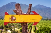 Essential Spanish Wines [Sept 24]