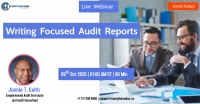 Writing Focused Audit Reports
