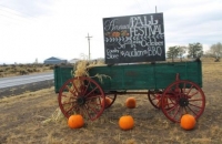 Christmas Valley Community Church ONLINE Fall Festival And Auction