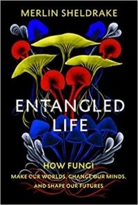 Entangled Life: panel discussion