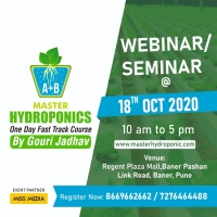 Hydroponic One Day Fast track Course.