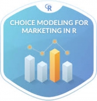 Discrete Choice Modeling Through Theory And Practice