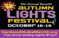 9th Annual Autumn Lights Festival
