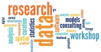 Methodology and Software for Processing and Analyzing surveys and Assessments data (SPSS/Stata/Excel/ODK)
