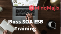 Advance Your Career With JBoss SOA ESB Training