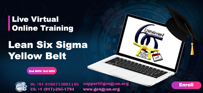 Lean Six Sigma Yellow Belt Certification, Pune, Maharashtra, India