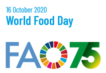 World Food Day online celebration with FAO Brussels, ONLINE, Bruxelles-Capitale, Belgium