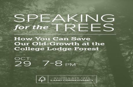 Speaking for the Trees: How You Can Save Our Old-Growth at the College Lodge Forest, East Aurora, New York, United States