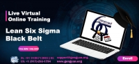 Six Sigma Black Belt Certification Training