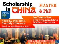 Scholarship In China
