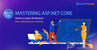 Asp.net core training online
