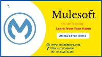 Mulesoft Online Training | Mulesoft Online Training in India