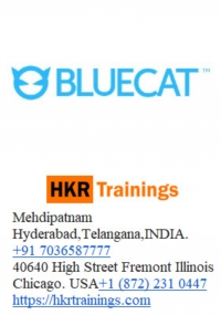 Bluecat Training