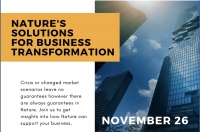 Nature's Solutions for Business Transformation