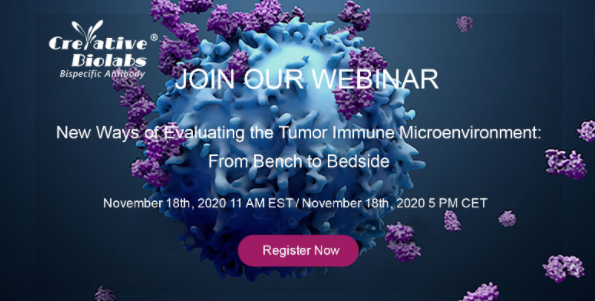 New Ways of Evaluating the Tumor Immune Microenvironment: From Bench to Bedside, New York, United States