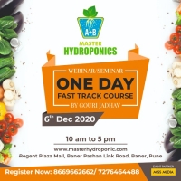 Hydroponic One Day Fast track Course.