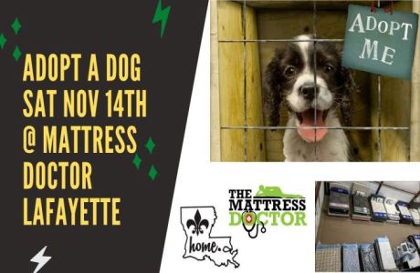 Saturday 11/14 - Rescue Dog Adoption Day Fundraiser at Mattress Doctor in Youngsville, Youngsville, Louisiana, United States