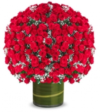 Premium 500 Red Roses Bouquet