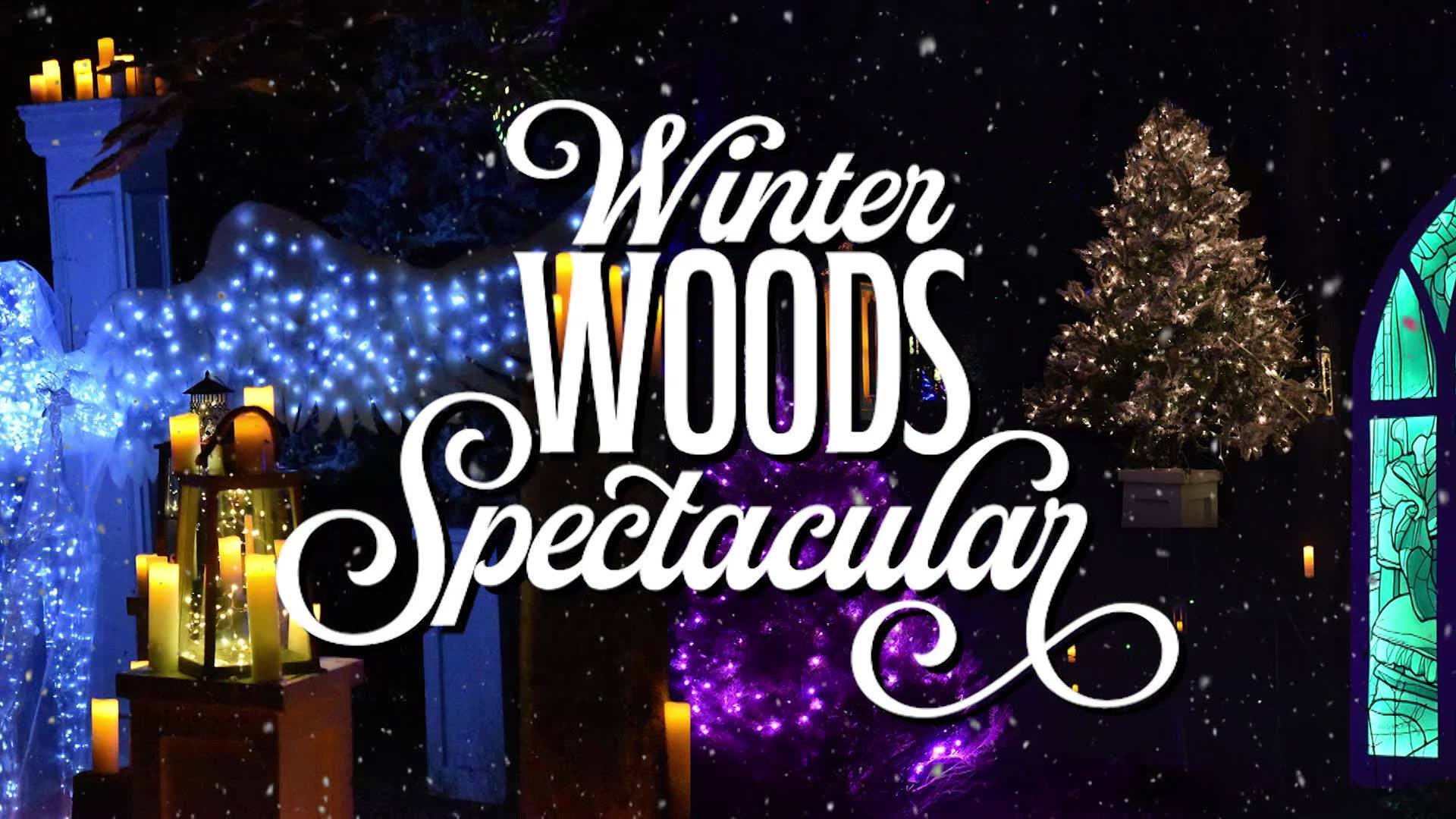 Winter Woods Spectacular, Louisville, Kentucky, United States