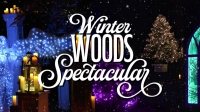 Winter Woods Spectacular