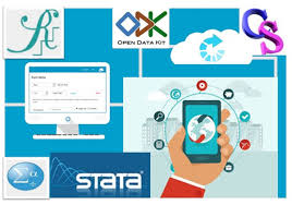 Methodology and Software for Processing and Analyzing surveys and Assessments data SPSS Stata Excel ODK, Nairobi, Kenya