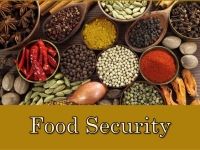 Food Security Policies Formulation and Implementation