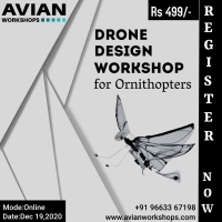 Drone Design Workshop for Ornithopters