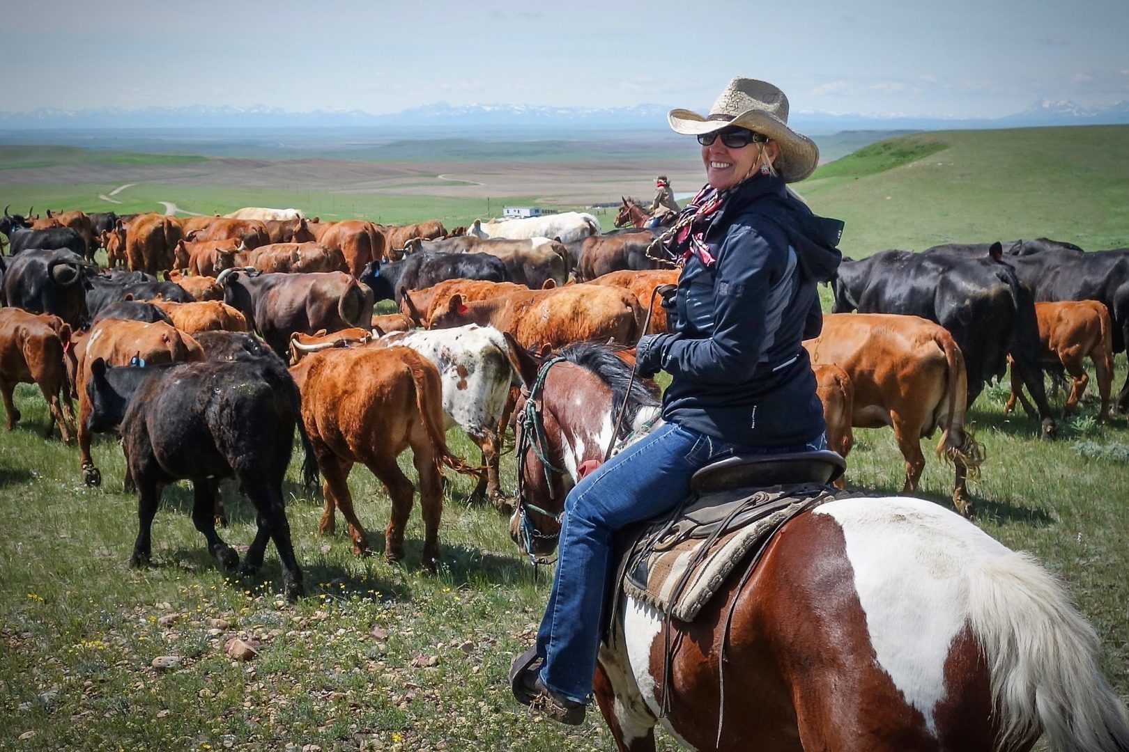 CATTLE DRIVE and STAMPEDE, Fredericksburg, Texas, United States